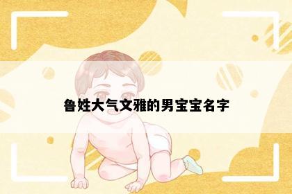 鲁姓大气文雅的男宝宝名字